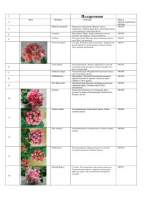 Каталог пеларгоний на 2015г