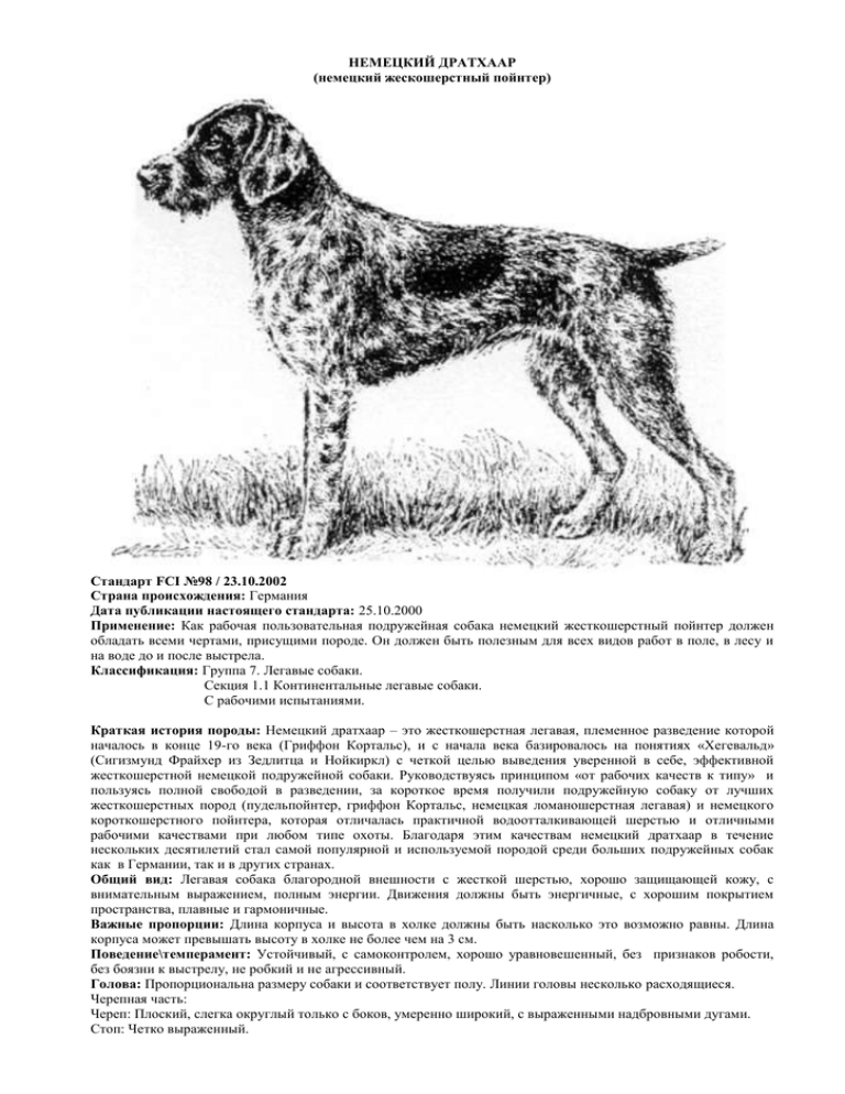 Рассмотрите фотографию собаки породы немецкий дратхаар. Дратхаар стандарт породы FCI. Дратхаар вес и рост. Схема тримминга дратхаара. Стандарты породы дратхаар вес.