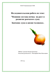 Исследовательская работа Назиры Саликовой (13.4 МБ)