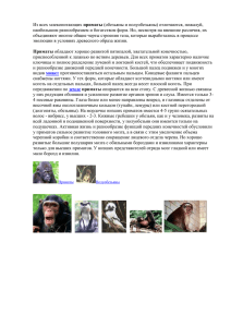 Из всех млекопитающих приматы (обезьяны и полуобезьяны