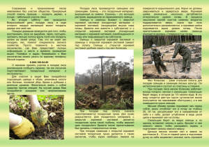 Сохранение и преумножение лесов невозможно без участия