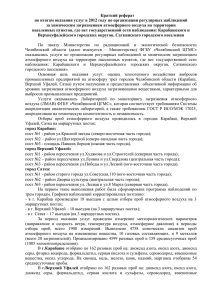 Краткий реферат по итогам оказания услуг в 2012 году по