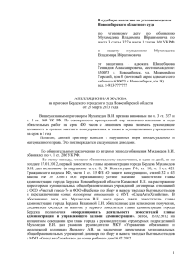 текст апелляции Геннадия Шишебарова