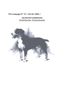 (Entlebucher Sennenhund) FCI-стандарт N ° 47 / 28. 06. 2002 /