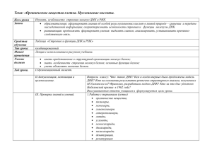 Тема: «Органические вещества клетка. Нуклеиновые кислоты