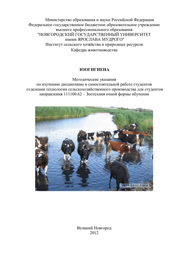 Реферат: Зоогигиеническая оценка систем содержания лошадей
