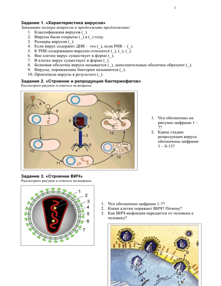 Как происходит размножение вирусов вызывающих спид
