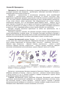 Лекция 08. Прокариоты