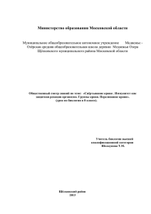 муниципальная общеобразовательная школа №6