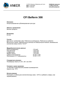 CFI Belferm 308
