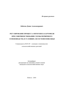 1 На правах рукописи Лобачев Денис Александрович