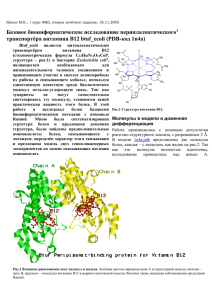 Отчёт о биоинформатическом исследовании белка