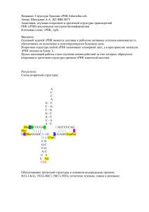 Отчет о вторичной структуре треониновой тРНК