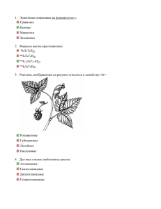 2004_Bio_5_tur_09