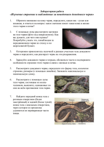 Изучение строения и наблюдение за поведением дождевого червя