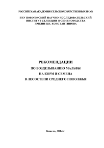 Рекомендации по возделыванию мальвы - akkor