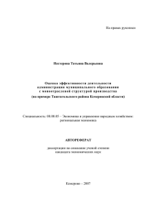 На правах рукописи Нестерова Татьяна Валерьевна Оценка эффективности деятельности