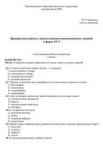 Проверочные работы с использованием разноуровневых