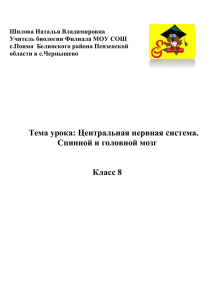 Центральная нервная система. Головной и спинной мозг