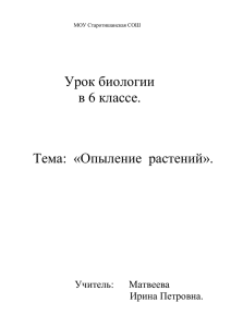 Урок биологии в 6 классе. Тема:  «Опыление  растений».