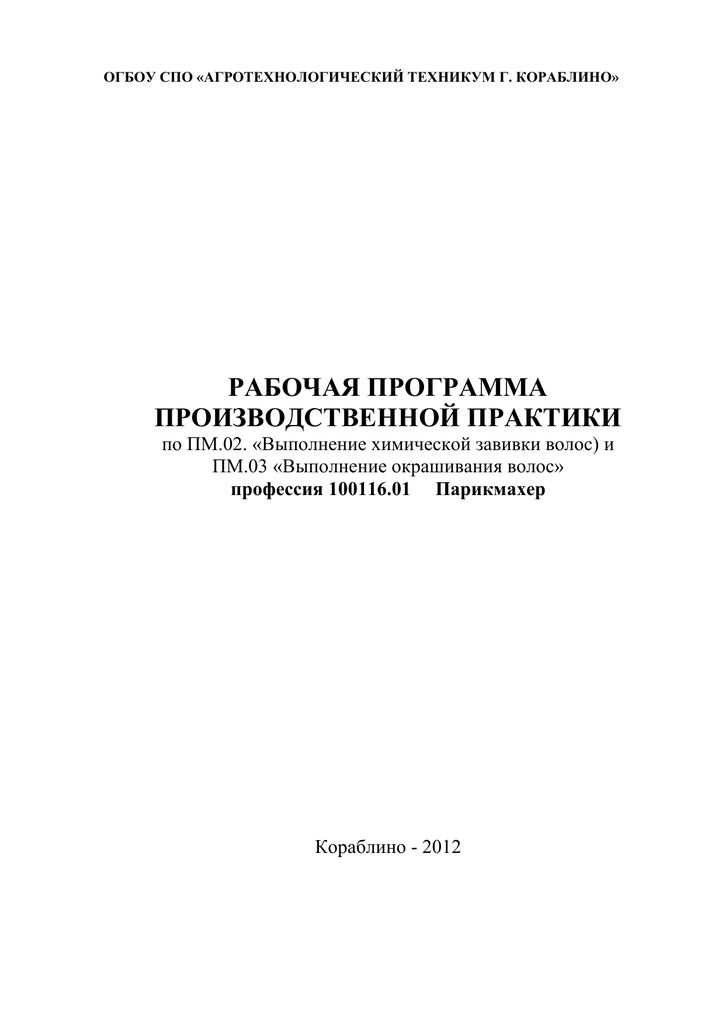 Рабочая программа прохождения производственной практики студента