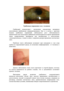Грибковые поражения глаз у человека