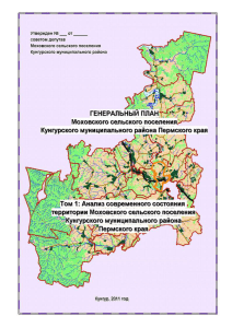 Том 1: Анализ современного состояния территории Моховского