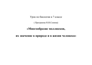 «Многообразие моллюсков,  их значение в природе и в жизни человека»