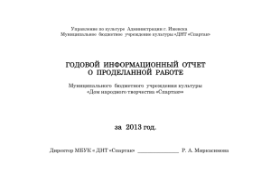 Информационный отчет за 2013 год