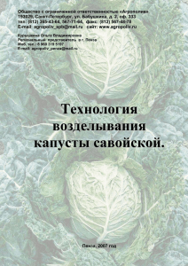 Технология возделывания капусты савойской