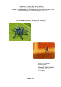Реферат пауки - Школьная научно