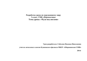 Урок разработала: Соболева Надежда