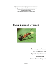 Рыжий лесной муравей - Образование Костромской области