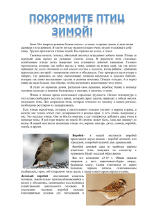 Информация о зимующих птицах