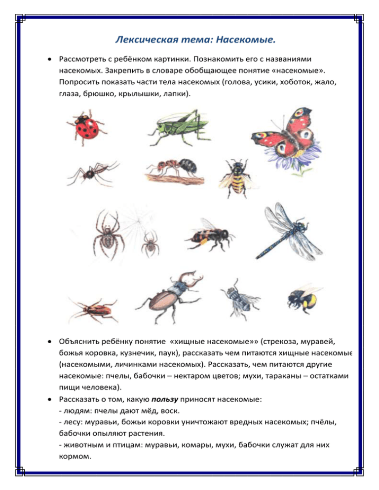 Развитие речи насекомые средняя группа. Логопедические задания по теме насекомые подготовительная группа. Насекомые лексическая тема для дошкольников. Лексическая тема насекомые рекомендации для родителей. Задания для детей на тему насекомые.