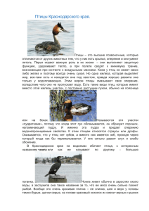 Птицы Краснодарского края