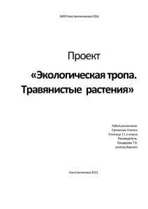 Экологическая тропа. Травянистые растения.