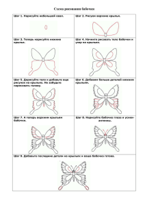 схема № 5 - бабочка