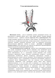 Узлы щитовидной железы (узловой зоб