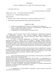 Протокол сельского собрания граждан от 28.04