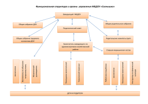 Функциональная структура и органы  управления МБДОУ «Солнышко»