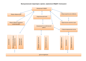 Функциональная структура и органы управления МБДОУ Тамчыкай