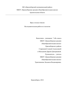 МО «Красноборский муниципальный район» МБОУ «Красноборская средняя общеобразовательная школа» Архангельская область