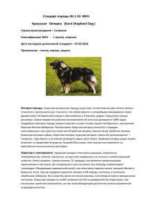 Стандарт породы № 1.33 WKU Крашская Овчарка