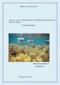 « Путешествие в подводный мир Азовского и Чёрного морей» ( средняя группа)