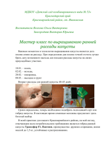МДБОУ «Детский сад комбинированного вида № 53» Краснодарский край