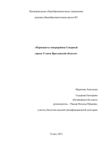 Муниципальное общеобразовательное учреждение средняя общеобразовательная школа №7  Муратова Анастасия