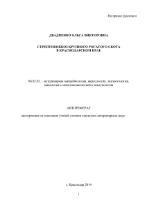 двадненко ольга викторовна стрептококкоз крупного рогатого