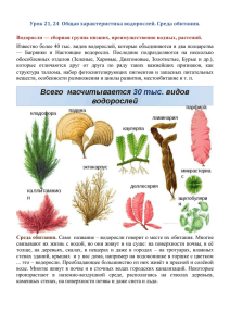 Урок 21, 24 Общая характеристика водорослей. Среда обитания.