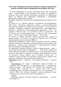 Отчет главы Новобурецкого сельского поселения о социально